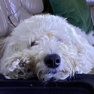 Meet your Posher, Michele